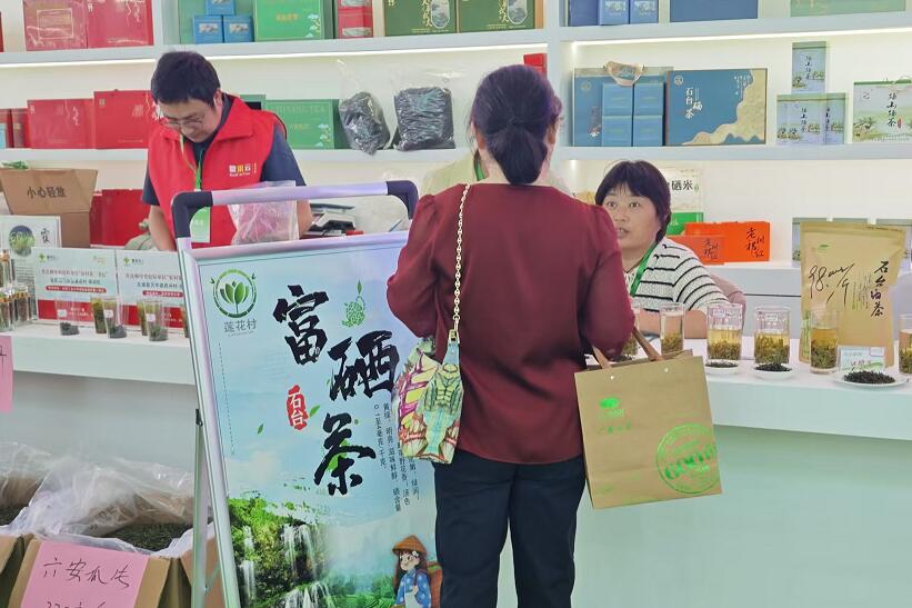十七届安徽茶博会开幕开元棋牌2025第